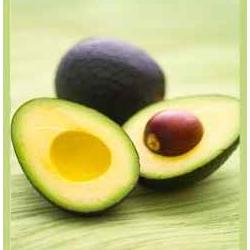 Avocado Recipes